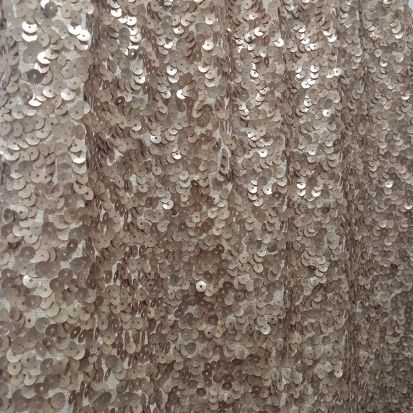 Sequined Skirt - Picture 3 of 3